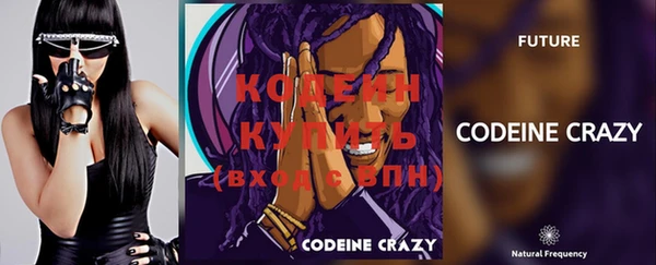 индика Бородино