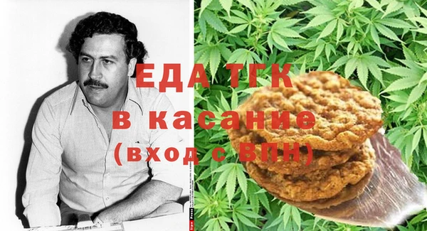 индика Бородино