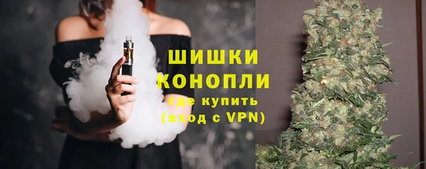 индика Бородино
