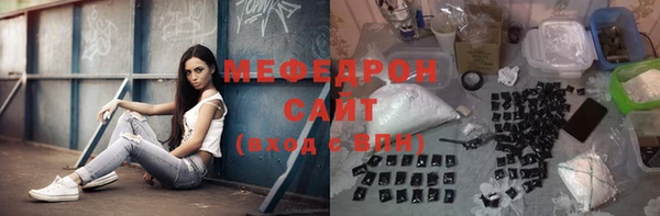индика Бородино