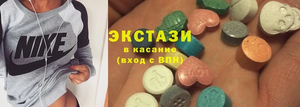индика Бородино