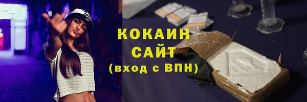 тгк Бронницы