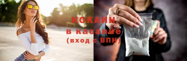 индика Бородино