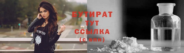 индика Бородино