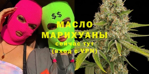 индика Бородино