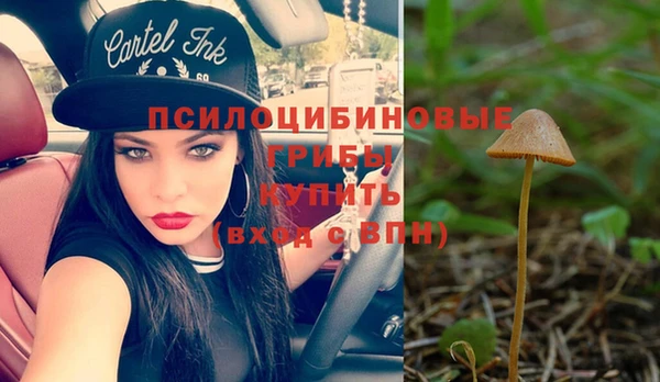 индика Бородино