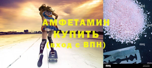 индика Бородино