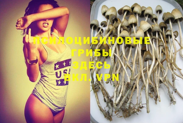индика Бородино
