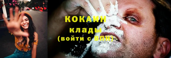 индика Бородино