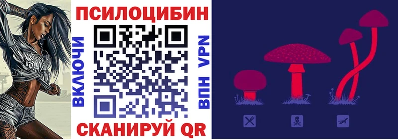 Псилоцибиновые грибы Magic Shrooms  блэк спрут как зайти  Ростов  наркота 